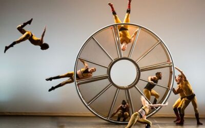 DIAVOLO at home for two months